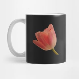 Pink Tulip - Pink Spring Floral on Black Mug